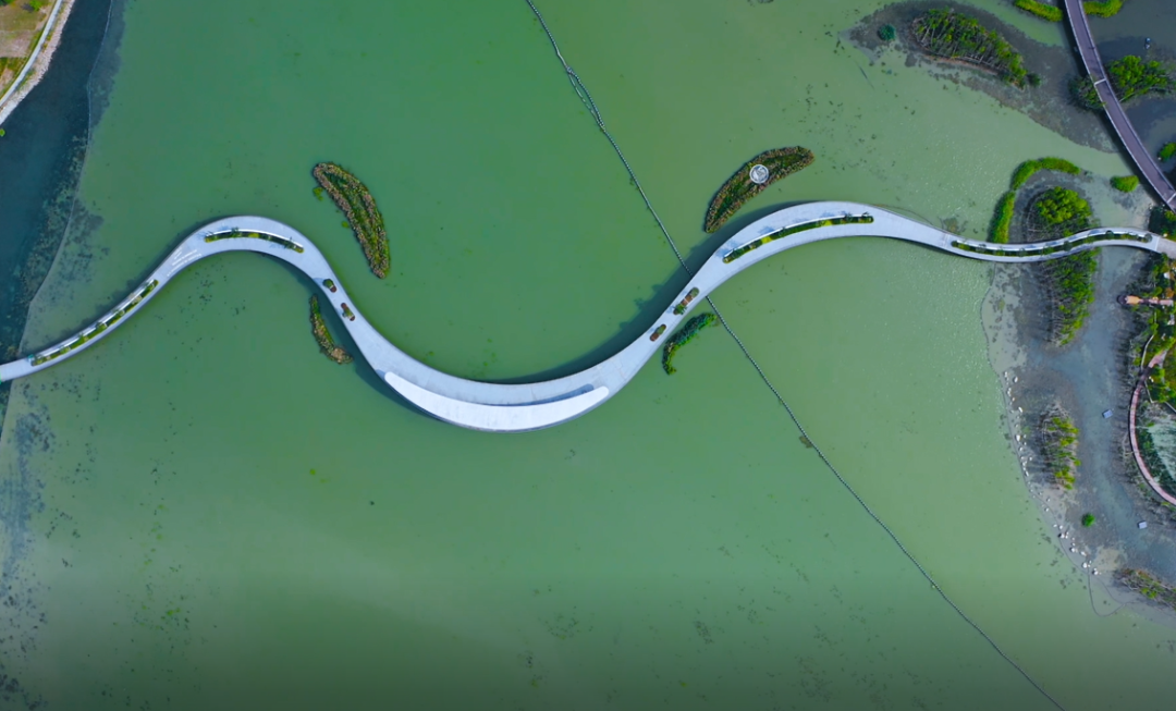 苏州吴江汾湖鼋荡生态绿道