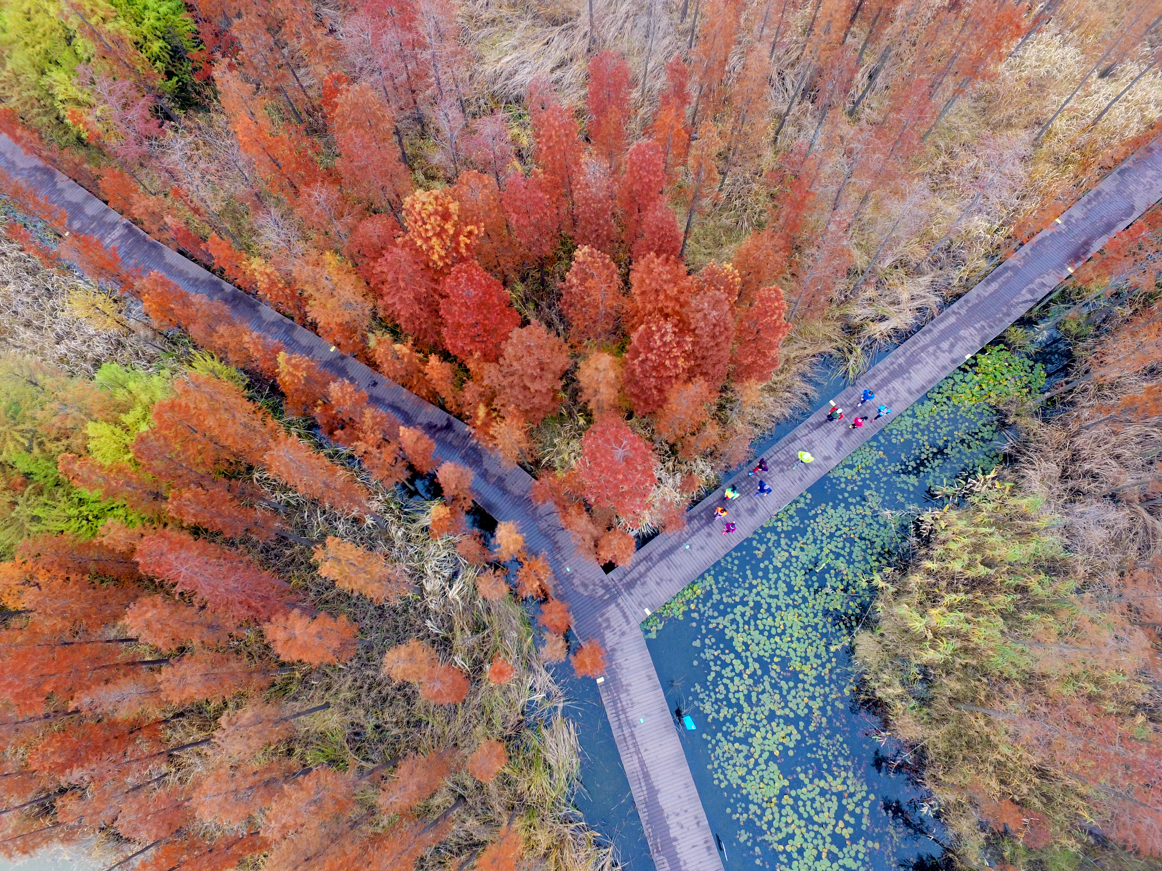 1 DJI_0064.jpg